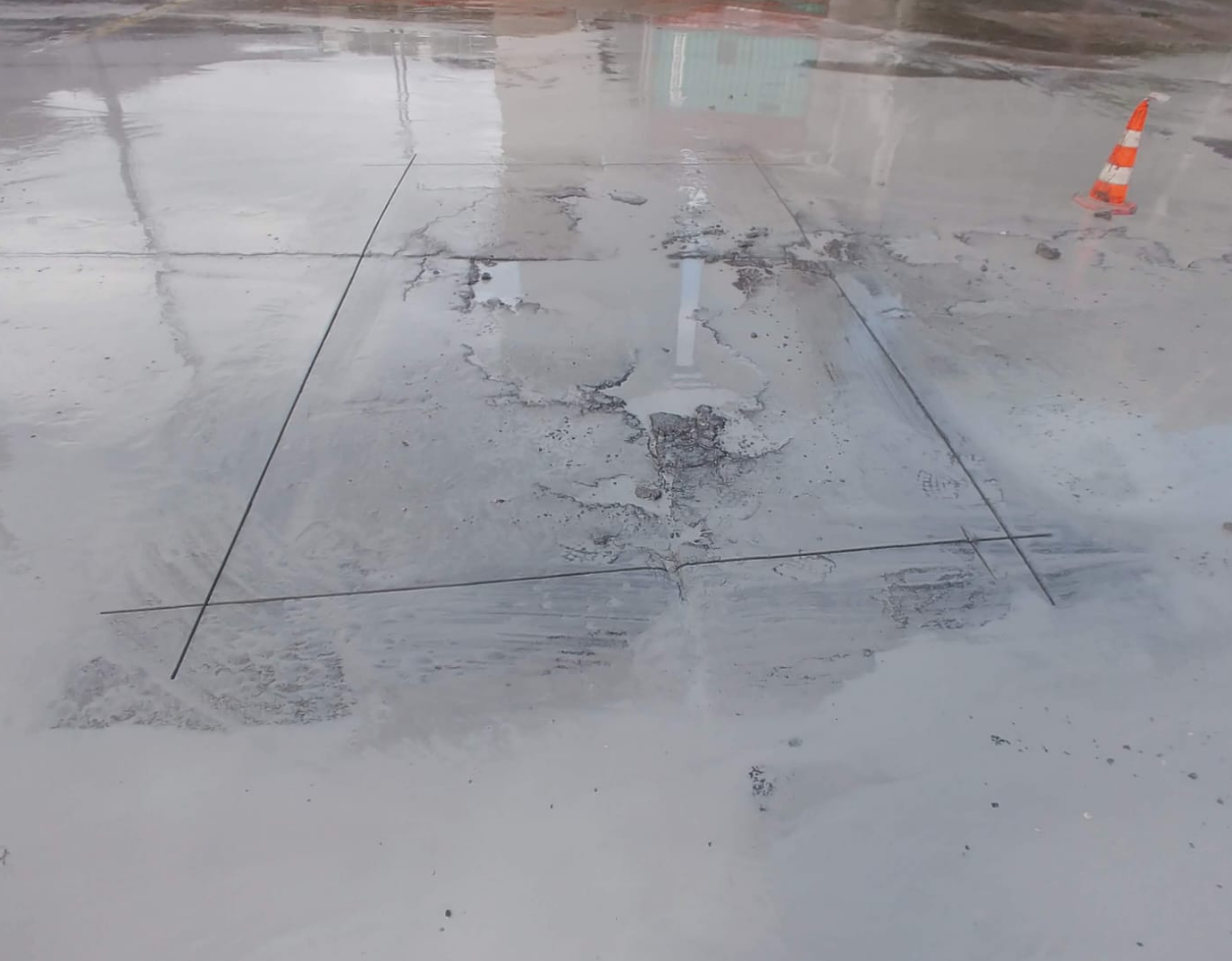 Karayolları Binası Filiz Ekimi ve Güçlendirme Uygulaması