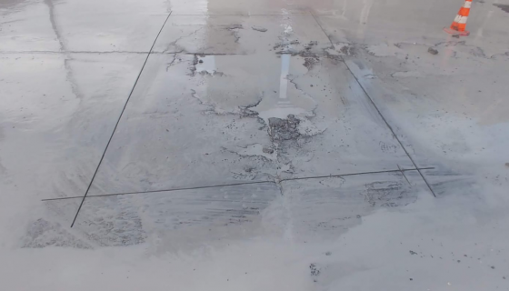 Karayolları Binası Filiz Ekimi ve Güçlendirme Uygulaması